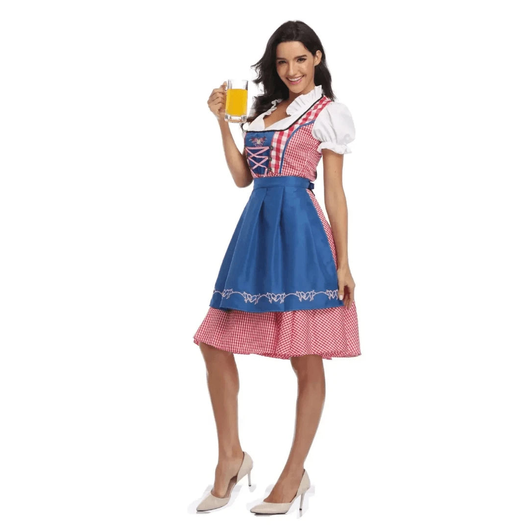 Stylish Dirndl Dress for Women