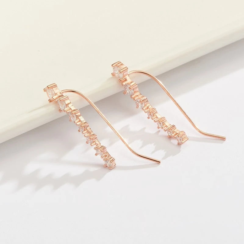 Glamour Shiny Zircon 925 Sterling Silver Earring