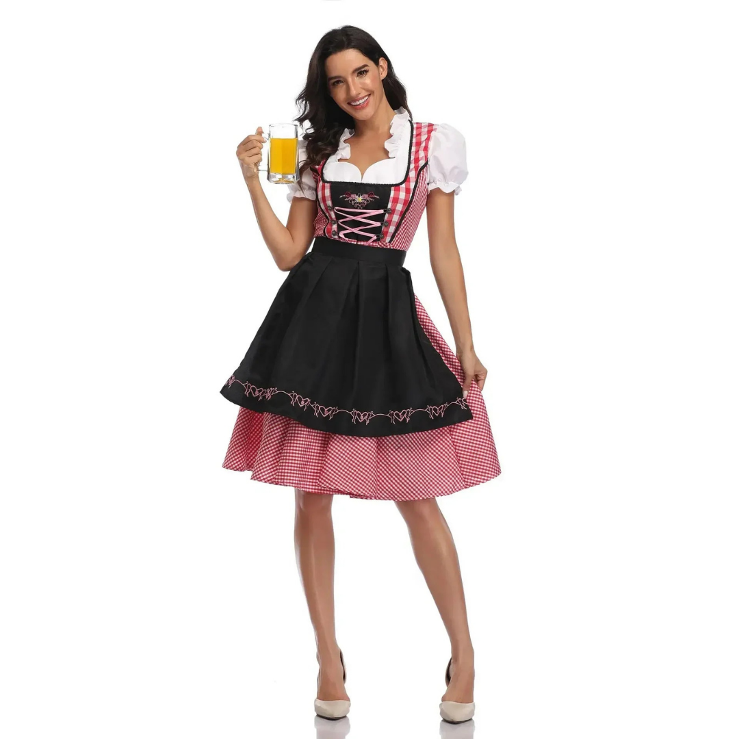 Stylish Dirndl Dress for Women