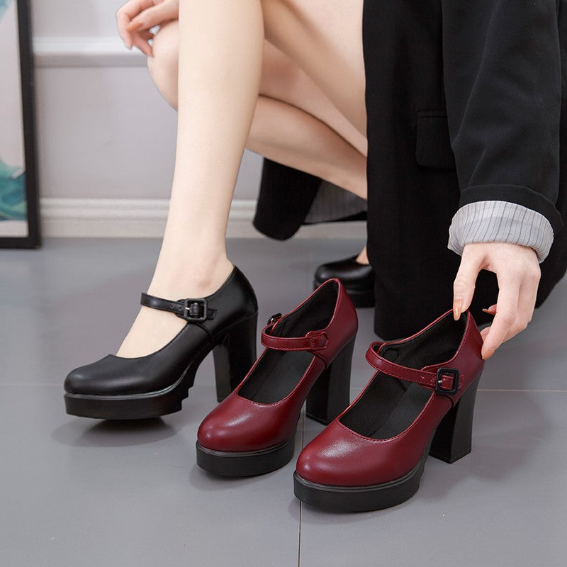 Women's elegant Mary Jane pumps with decorative strap and comfortable block heel