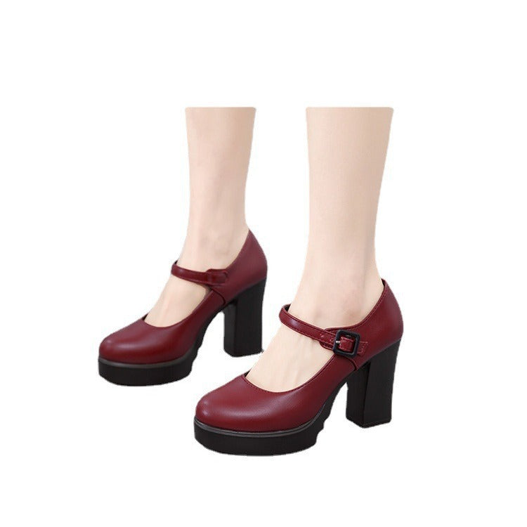 Women's elegant Mary Jane pumps with decorative strap and comfortable block heel