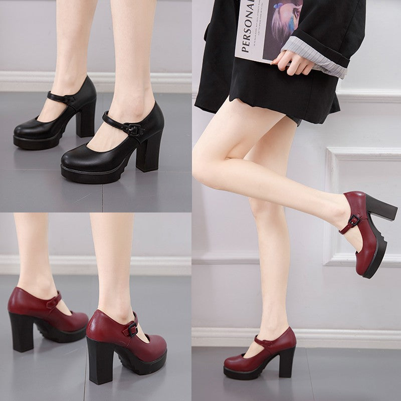 Women's elegant Mary Jane pumps with decorative strap and comfortable block heel