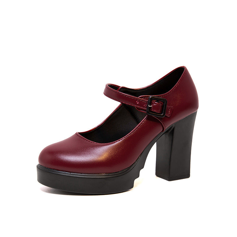 Women's elegant Mary Jane pumps with decorative strap and comfortable block heel