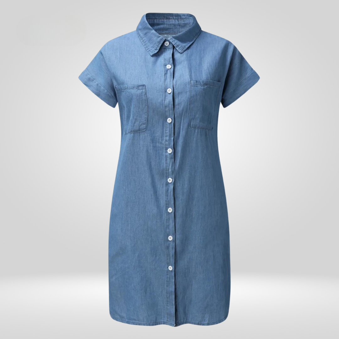 Elegant Denim Dress